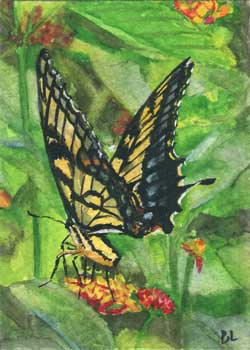 "Come Fly With Me" by Beverly Larson, Oregon WI - Watercolor - SOLD